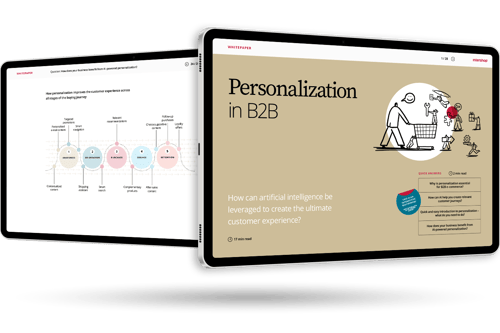Personalization in B2B e-commerce