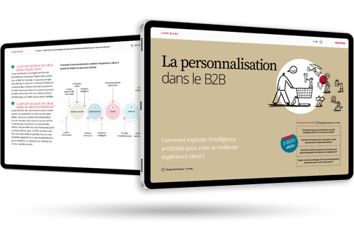 Personnalisation dans l'e commerce B2B