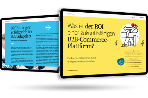ROI einer zukunftsfaehigen B2B Commerce Plattform