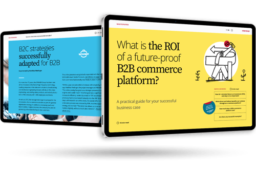 ROI of a future proof b2b commerce platform
