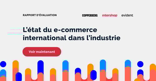 Intershop_French_banners_1149x600