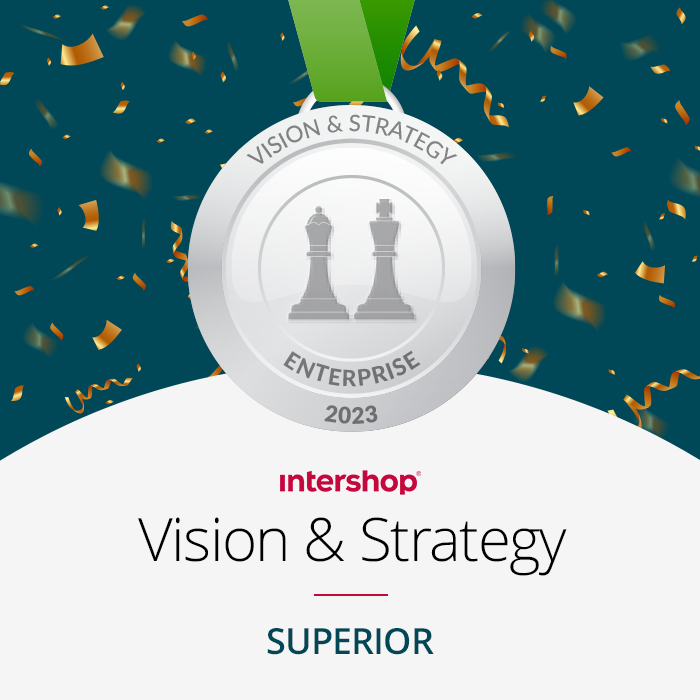 slider-silver-vision-and-strategy