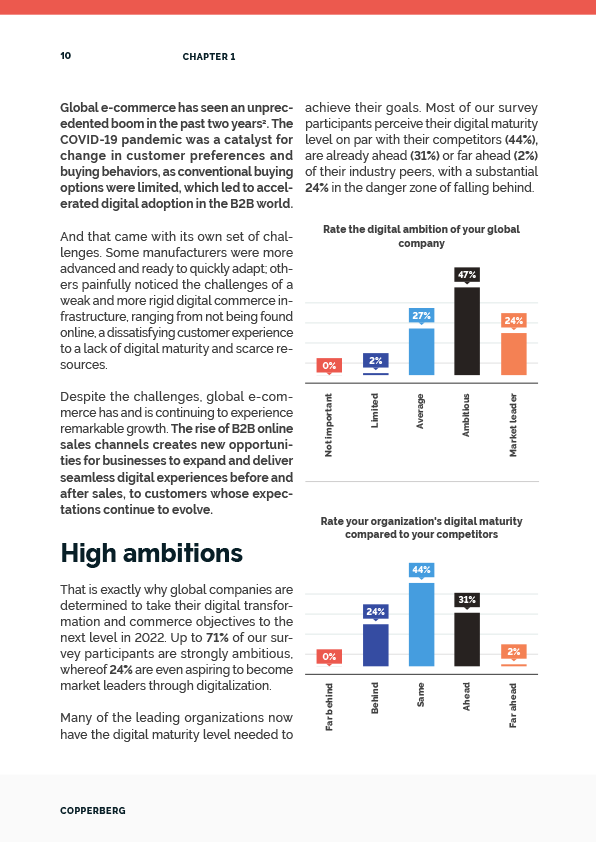 Copperberg-Report_Preview_pg10_EN